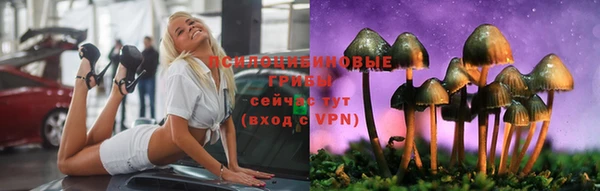 крисы Новокубанск