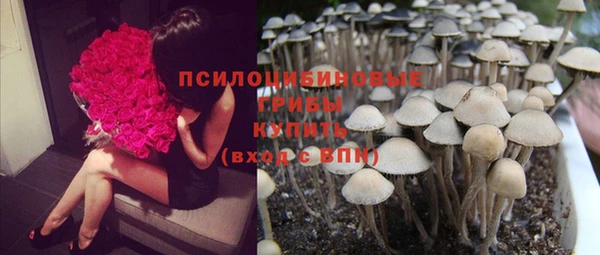 кокаин перу Новодвинск