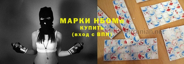 крисы Новокубанск