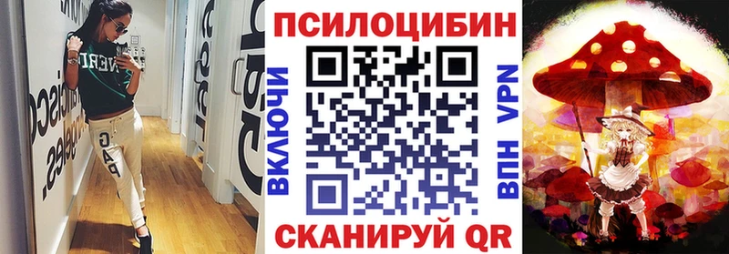 Псилоцибиновые грибы Psilocybe Переславль-Залесский