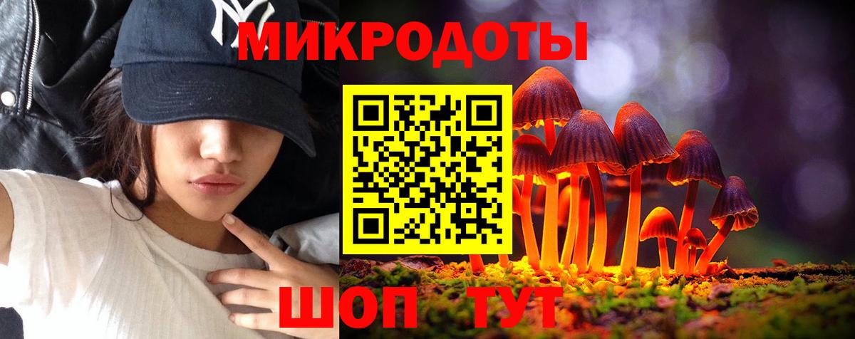 Галлюциногенные грибы Psilocybe  Вход с VPN  Переславль-Залесский 